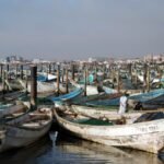 زوارق صيد في ميناء الصيد التقليدي بمدينة نواذيبو الموريتانية